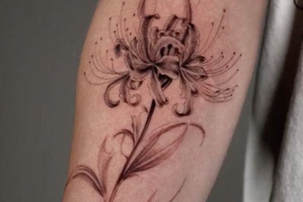 Screenshot 2025-11-07 at 8.15.36 PM