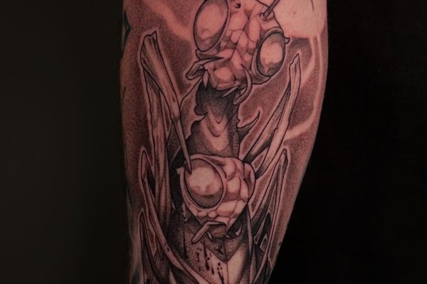 3A33DCEA-41D5-4C7F-852E-A98B8050D519